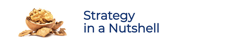 Strategy in a Nutshell